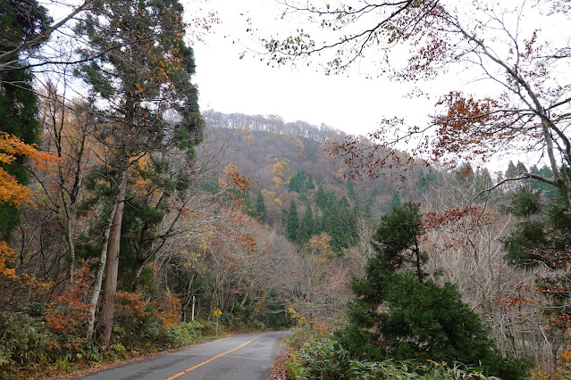 鳥取県道45号倉吉江府溝口線（大山環状道路）