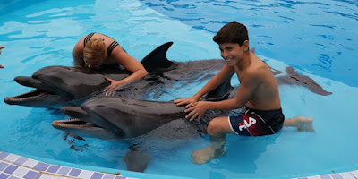 Agadir Dolphin World.