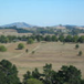 View album