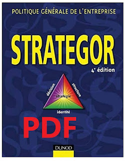 Strategor Politique générale de l'entreprise PDF