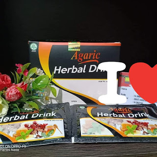 AGEN AGARIC HERBAL AMPUH MENGOBATI BERBAGAI PENYAKIT DI SURABAYA 085232128980