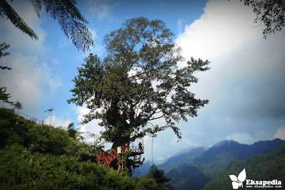 Wisata Rumah Pohon Batang