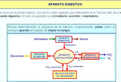 http://contenidos.educarex.es/mci/2006/21/menus/m_ud5.htm