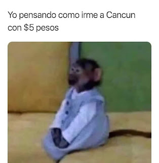 memes dominicanos,memes en español,memes latinos,memes sad,memes graciosos,consejos de leyla,memes,memes divertidos,chistes,imagenes divertidas,