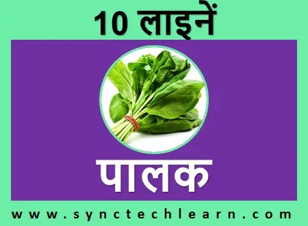 10 lines on spinach in hindi