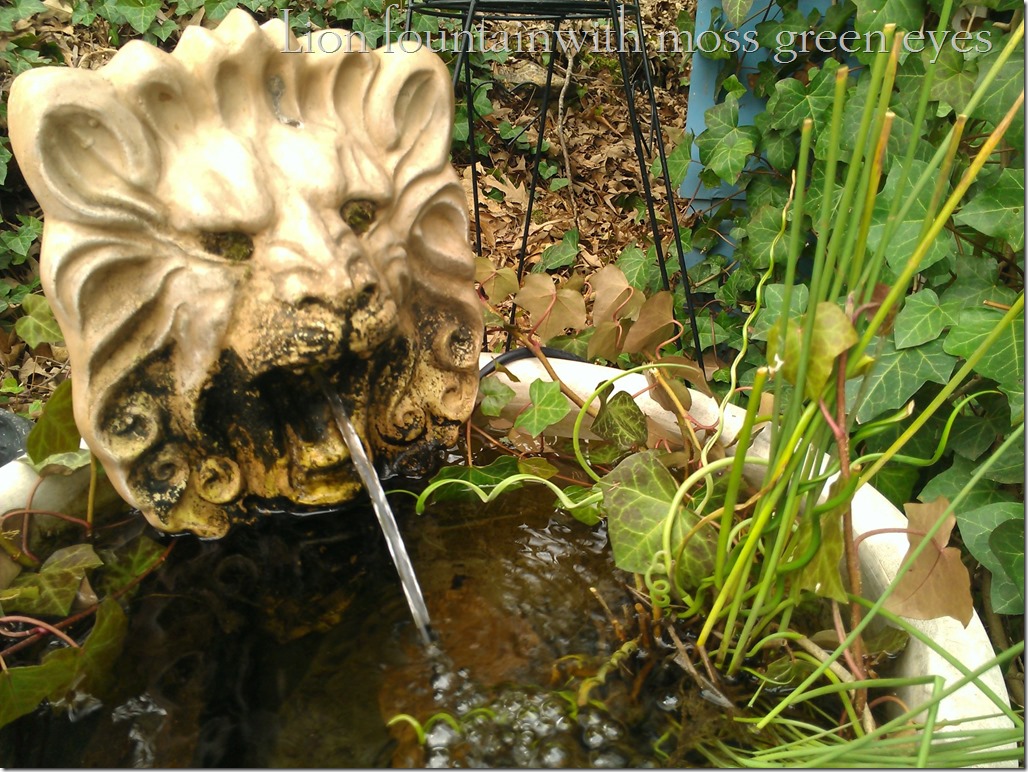 lion head fountain