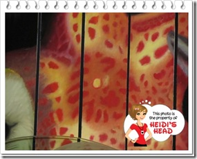 hidden mickeyDisney January 2012 06910