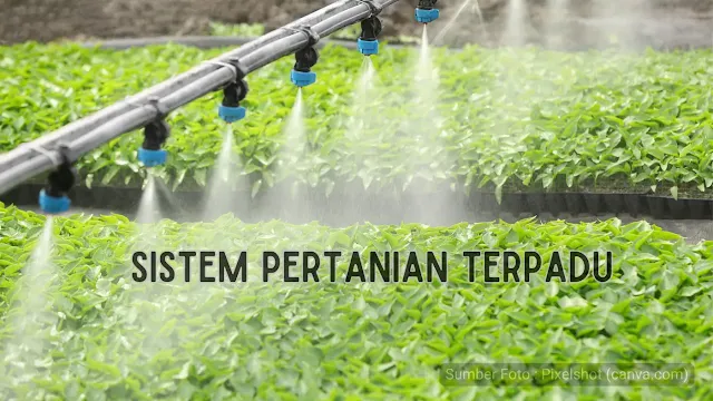 Sistem Pertanian Terpadu, Meningkatkan Produktivitas dan Keberlanjutan