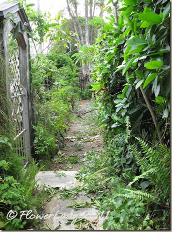 07-17-path-trim5