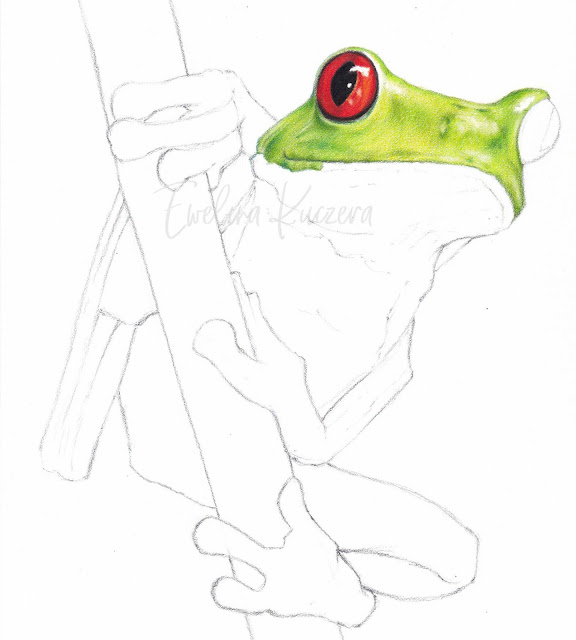 The picture shows the fifth step from the tutorial - coloring the frog's head