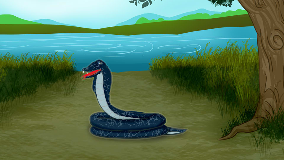 Animated Snakes Pack, Characters