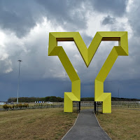 "Y"