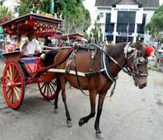 Delman adalah alat transportasi tradisional yang sudah ada semenjak zaman Belanda. Delman merupakan kendaraan beroda dua sampai empat. Kendaraan ini tidak memakai mesin, melainkan ditarik oleh kuda. Delman dikendalikan oleh seorang kusir. Nama kendaraan ini berasal dari nama penemunya, yaitu Charles Theodore Deeleman, seorang litografer dan insinyur pada periode Hindia Belanda.    Pada jaman dahulu, delman dipakai sebagai alat transportasi utama dan sering digunakan untuk perjalanan jarak jauh. Pada masa Pemerintah Hindia Belanda di Indonesia, delman digunakan sebagai angkutan antar kota, terutama sebelum kereta api dan kendaraan bermotor lainnya beroperasi di Indonesia. Dulu, hanya orang penting dan orang kaya saja yang bisa menaiki kendaraan ini. kurunu mimpi naik delman kira-kira apa ya artinya? Apakah artinya kita perlu jalan2? Untuk lebih jelasnya yuk simak artikel tafsir mimpi perihal delman atau andong dan dilengkapi angka main jitunya.