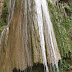 A Hidden Nali Waterfall in Nali village Salt range Khushab 