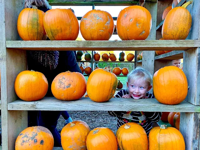 Shelves of Thursford Pumpkin House with pumpkins on and a smiling face