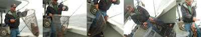 local seafood San Diego, fresh seafood, sustainable seafood, artisinal fishing