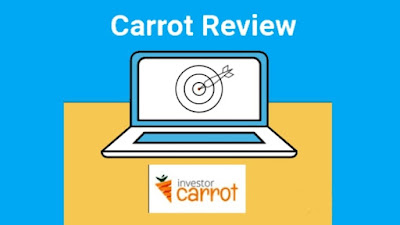 OnCarrot Review Real Estate Investor Agent Website Builder