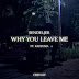 Sendeljer  - Why You Leave Me (feat. Kaysuma) [with ferualf] - Single [iTunes Plus AAC M4A]