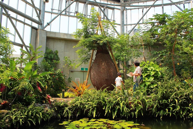 山口県、宇部市のときわ公園の植物園がリニューアルしたよ【Y】　プラントハンター西畠清順、世界を旅する植物館 　熱帯アメリカゾーン、パラボラッチョ