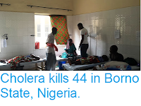 http://sciencythoughts.blogspot.co.uk/2017/09/cholera-kills-44-in-borno-state-nigeria.html