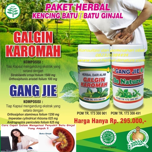 obat kencing batu,obat batu ginjal,cara menghilangkan kencing batu,obat penghancur batu ginjal