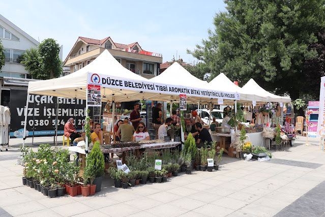 6. Düzce Otları Bereket Festivali 1.Gün