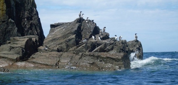 LLys Helig, é o local onde se pensa estar submerso uma palácio do século VI, no País de Gales.