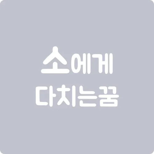 소에게 다치는 꿈