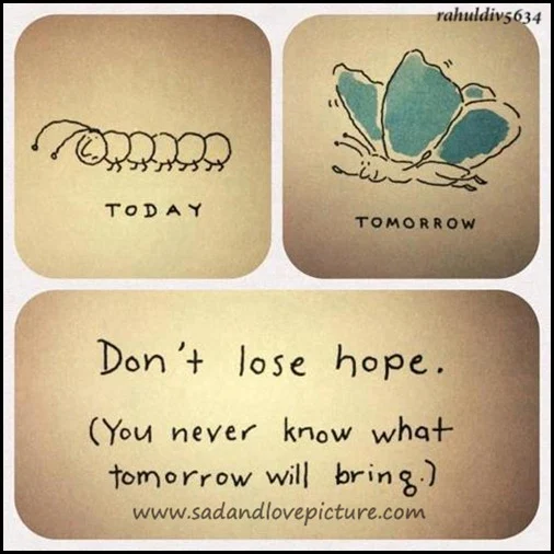 Don’t lose hope, you never now what tomorrow will bring