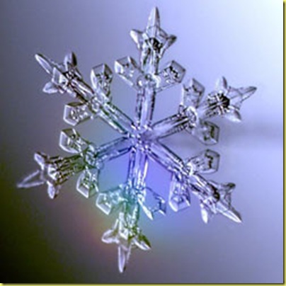 snowflake1