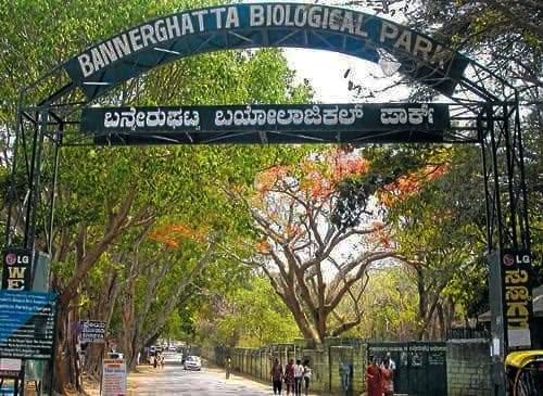 Bannerghatta National Park, Banglore