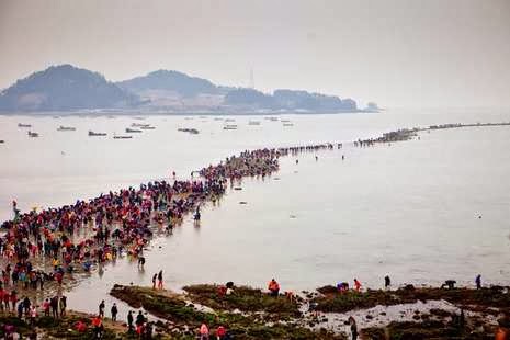 Keajaiban Laut Terbelah di Korea Selatan, Seperti Zaman 