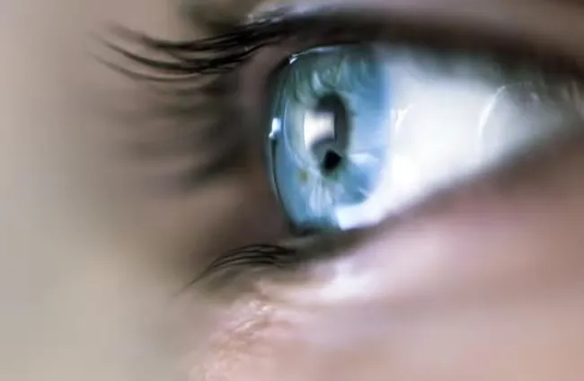 هل تعلم أن العيون الزرقاء غير موجودة؟ نفسر لماذا