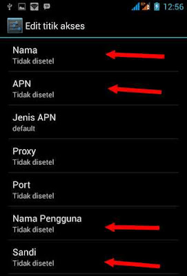 apn indosat