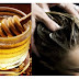 Homemade Remedies Onion Juice and Honey Hair Loss Treatment