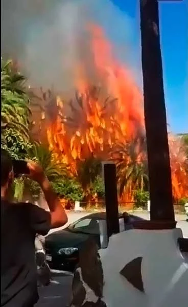 Última hora incendio forestal Fataga, Gran Canaria