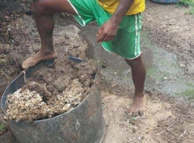 Bahia é estado com mais pessoas resgatadas de trabalho escravo em 2015