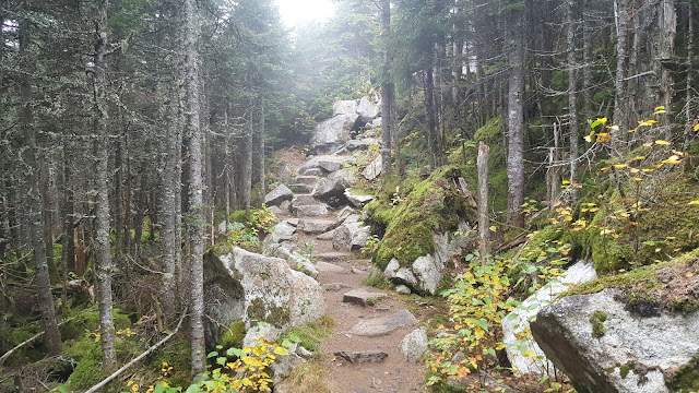 Sentier en direction du mont Saint-Joseph