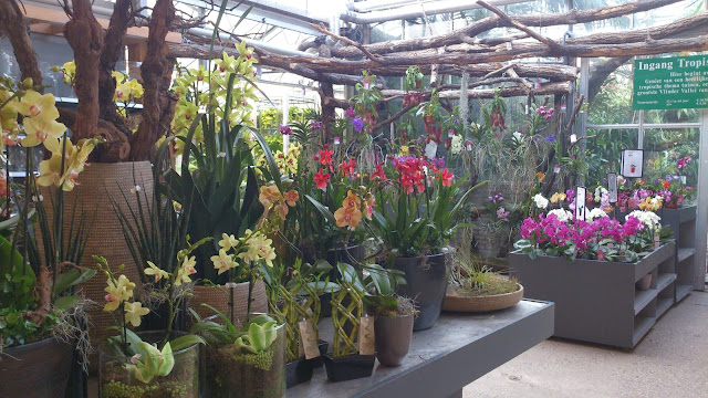 plantentafel orchideëenhoeve