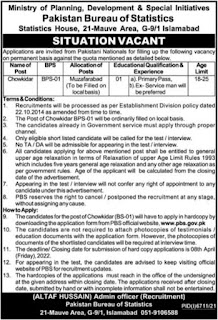 Ministry of Planning, Development and Special Initiative Job Advertisement 2022