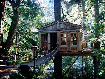 Tree House Image