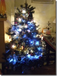 111210_Half_a_Tree7