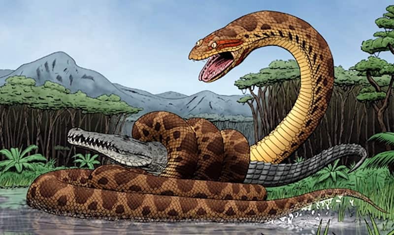 Titanoboa: Monster Snake - the 43-feet-Long | the largest Snake Ever Discovered