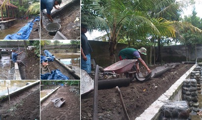 View album