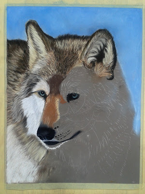 Wolf, Wild Animal, Wildlife , Painting, Pastel Portrait, Work in Progress, Traditional Art, Fine Art, For Sale