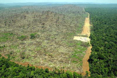 Deforestation in Para, Brazil