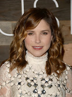 Sophia Bush Hairstyle