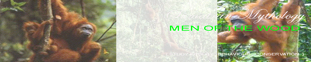 SUMATRAN MITHOLOGY ( MEN OF THE WOOD ) STUDY ECOLOGY