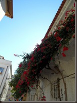 SAM_1490