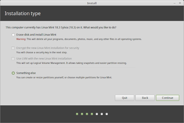 Install Linux Mint- Something Else